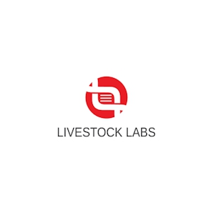 startup
